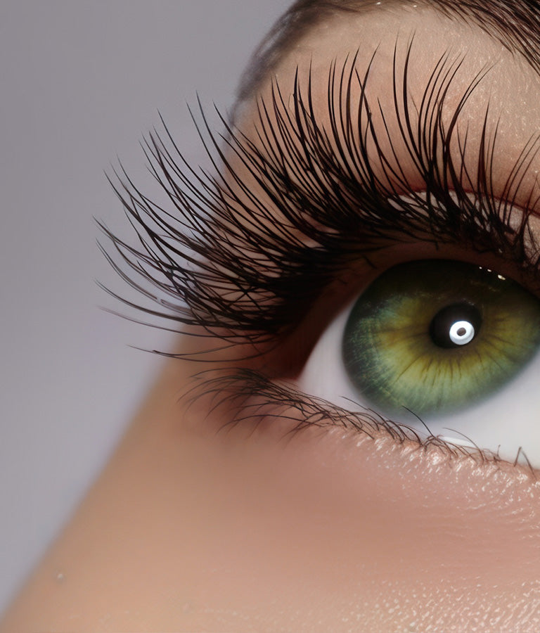 Buy 3 Lash Refill and get 1 free - New York Wax coral springs