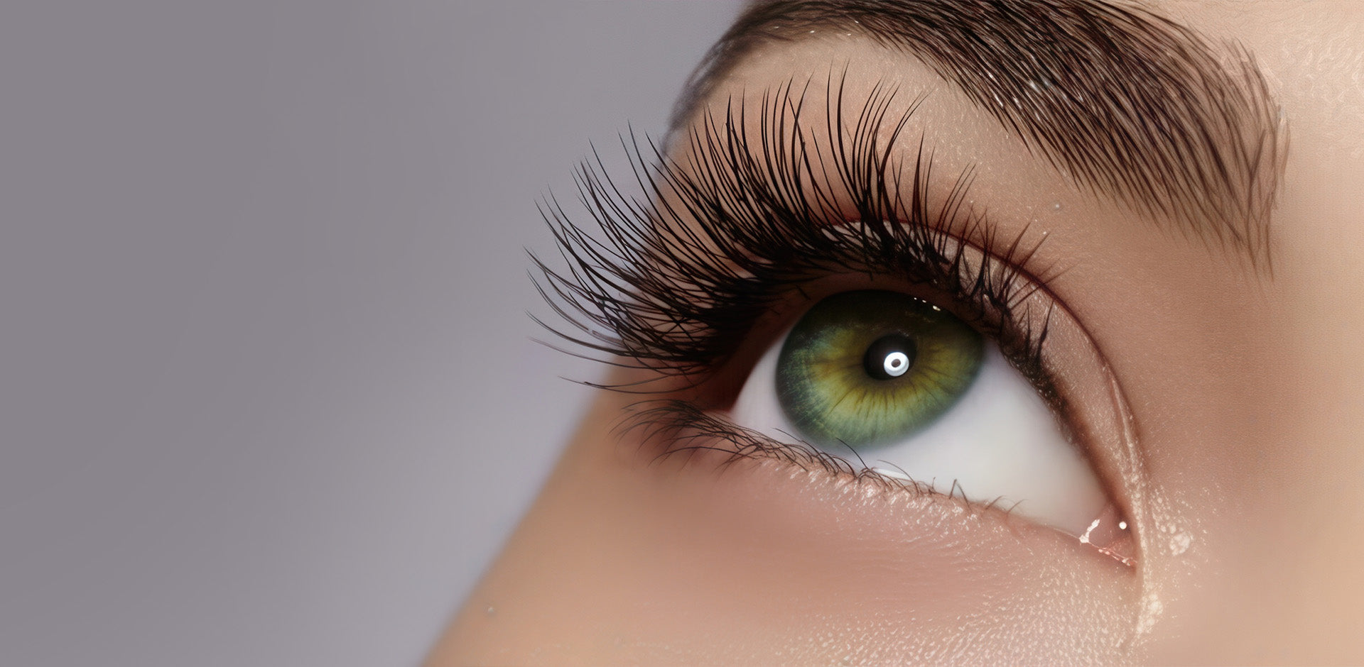 Buy 3 Lash Refill and get 1 free - New York Wax coral springs